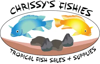 Chrissy's Fishies Tropical Fish Sales & Supplies